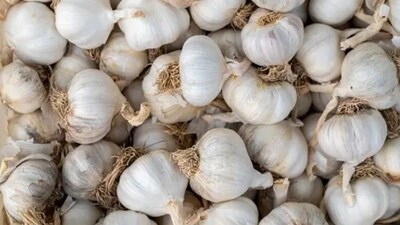 Allicin, a compound in garlic not only gives garlic its characteristic kick but also contributes to cholesterol management by potentially reducing total cholesterol and ‘bad’ LDL cholesterol levels. (Unsplash) Allicin, a compound in garlic not only gives garlic its characteristic kick but also contributes to cholesterol management by potentially reducing total cholesterol and ‘bad’ LDL cholesterol levels. (Unsplash)