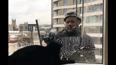 Snapshot of the cat following the man. (Twitter)