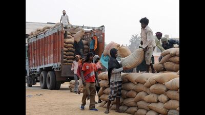 Indri SDM Ashok Kumar said that the arrival of paddy has increased in the mandi and the officials had asked the farmers to put their crop on hold until the procured paddy is lifted from the mandi (HT File)
