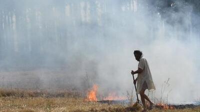 Mohali, India, October 30, 2020: A file photo of stubble burning in Mohali District on Friday, October 30, 2020. HT File Photo.