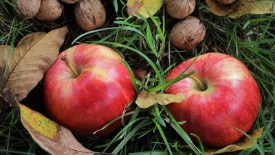 "High cholesterol levels are a major risk factor for heart disease. Thankfully, you can lower this risk by incorporating certain foods into your diet," says Nutritionist Lovneet Batra in her latest Instagram post. (Pixabay) "High cholesterol levels are a major risk factor for heart disease. Thankfully, you can lower this risk by incorporating certain foods into your diet," says Nutritionist Lovneet Batra in her latest Instagram post. (Pixabay)