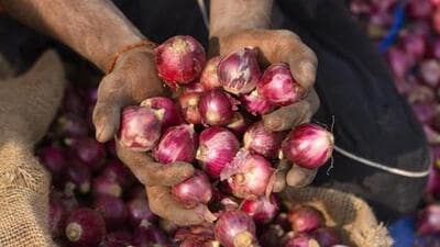 In Nashik, most wholesale markets remained shut despite government efforts to convince traders for starting onion auction. (REPRESENTATIVE PHOTO)