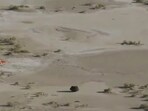 This image taken from video provided by NASA TV shows the capsule released by the Osiris-Rex spacecraft lying on the surface near the parachute after landing to Earth.(AP)