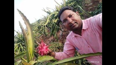 Farmers showing their yield in their farms (HT Photo) Farmers showing their yield in their farms (HT Photo)