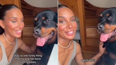 The image shows a dog with its pet parent. (Instagram/@nala_the_needy_rottie) The image shows a dog with its pet parent. (Instagram/@nala_the_needy_rottie)