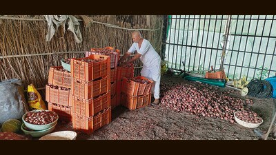 Onion traders have stopped auction at India’s largest wholesale market in Lasalgaon (HT PHOTO) Onion traders have stopped auction at India’s largest wholesale market in Lasalgaon (HT PHOTO)