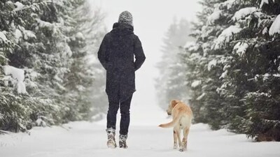 Going for a walk in nature, with fallen leaves crunching under the footsteps is a nice way of welcoming the season.&nbsp; (Unsplash)