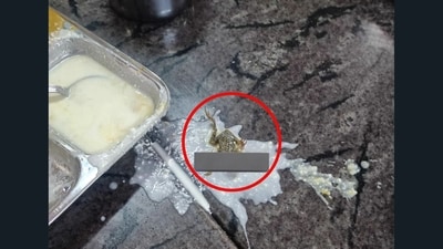 Frog found in the mess food served at a college in Bhubaneswar. (X/@aaraynsh) Frog found in the mess food served at a college in Bhubaneswar. (X/@aaraynsh)