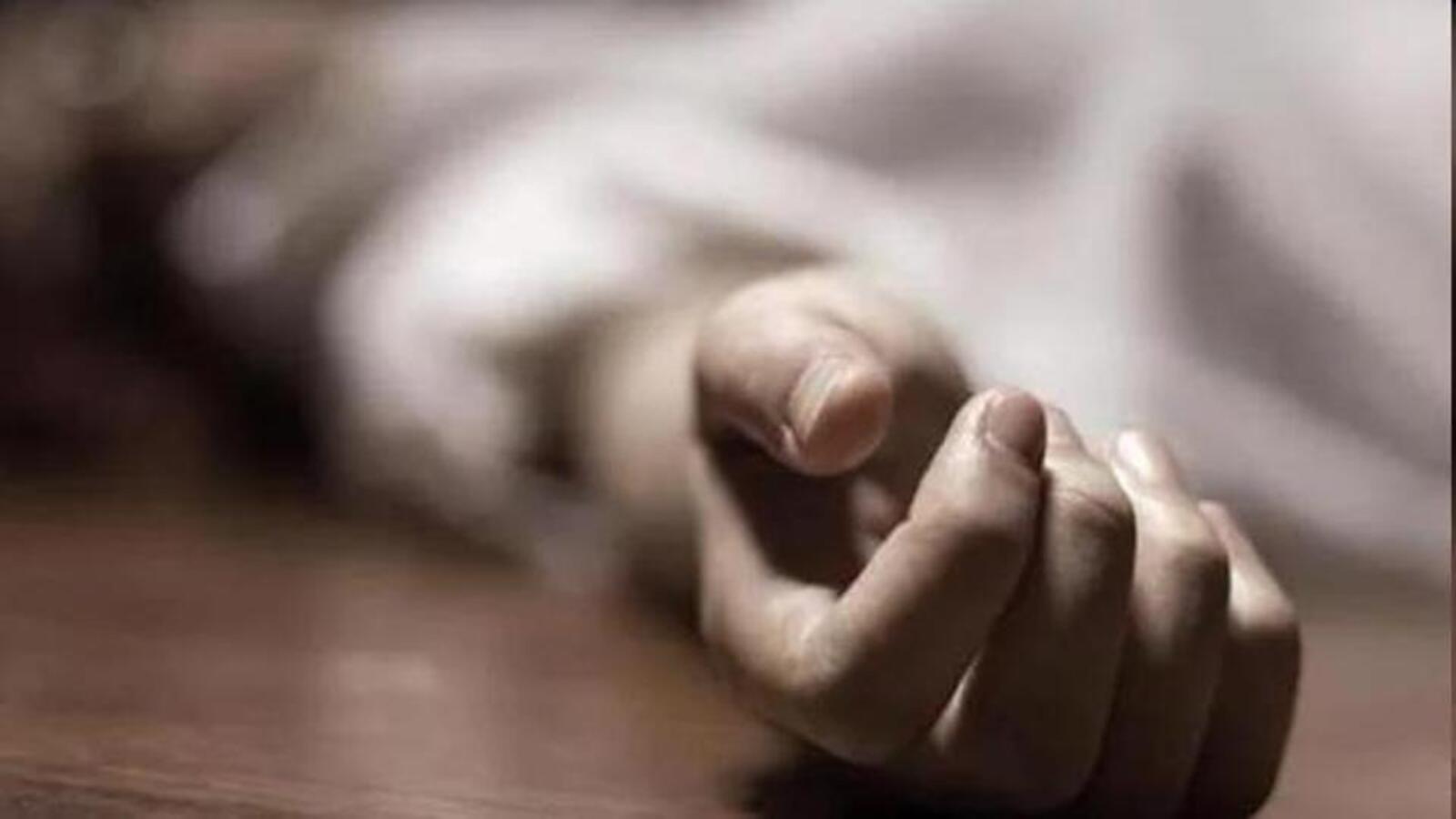 Labourer killed as debris falls of him in Bilaspur tunnel - Vimarsana News