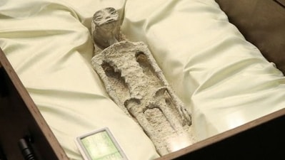 One of the two supposed ‘non-human alien corpses’ displayed at Mexico Congress (X(formerly Twitter)/@iohmbra) One of the two supposed ‘non-human alien corpses’ displayed at Mexico Congress (X(formerly Twitter)/@iohmbra)