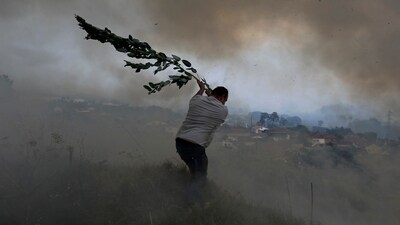A volunteer uses a tree branch trying to prevent a forest fire from reaching houses in the village of Casal da Quinta, outside Leiria, central Portugal, July. (AP) A volunteer uses a tree branch trying to prevent a forest fire from reaching houses in the village of Casal da Quinta, outside Leiria, central Portugal, July. (AP)