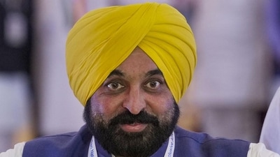 Punjab chief minister Bhagwant Mann (PTI File) Punjab chief minister Bhagwant Mann (PTI File)
