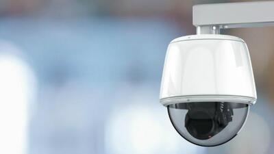 They were spotted near Shaniwarwada around 5am, said police. (REPRESENTATIVE PHOTO)