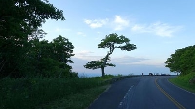 World Environmental Health Day 2023: Date, history, significance (Unsplash) World Environmental Health Day 2023: Date, history, significance (Unsplash)