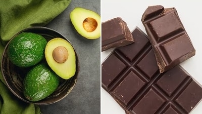 When it comes to maintaining cognitive vitality and embracing healthy aging, there are certain nutrient-rich foods that can make a remarkable difference in the well-being. Nutritionist Karishma Shah share five amazing choices. (Freepik) When it comes to maintaining cognitive vitality and embracing healthy aging, there are certain nutrient-rich foods that can make a remarkable difference in the well-being. Nutritionist Karishma Shah share five amazing choices. (Freepik)