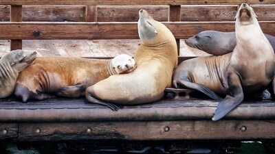 Representational Picture (Getty Images via AFP) Representational Picture (Getty Images via AFP)