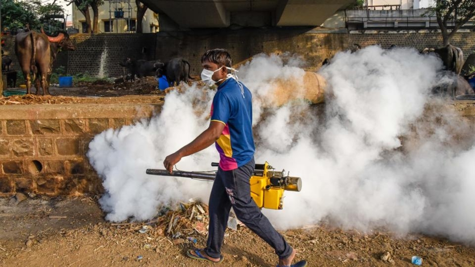 Dengue cases in Delhi soar 4-year-high for September; over 3k hit in 6 months | Latest News Delhi - Vimarsana News