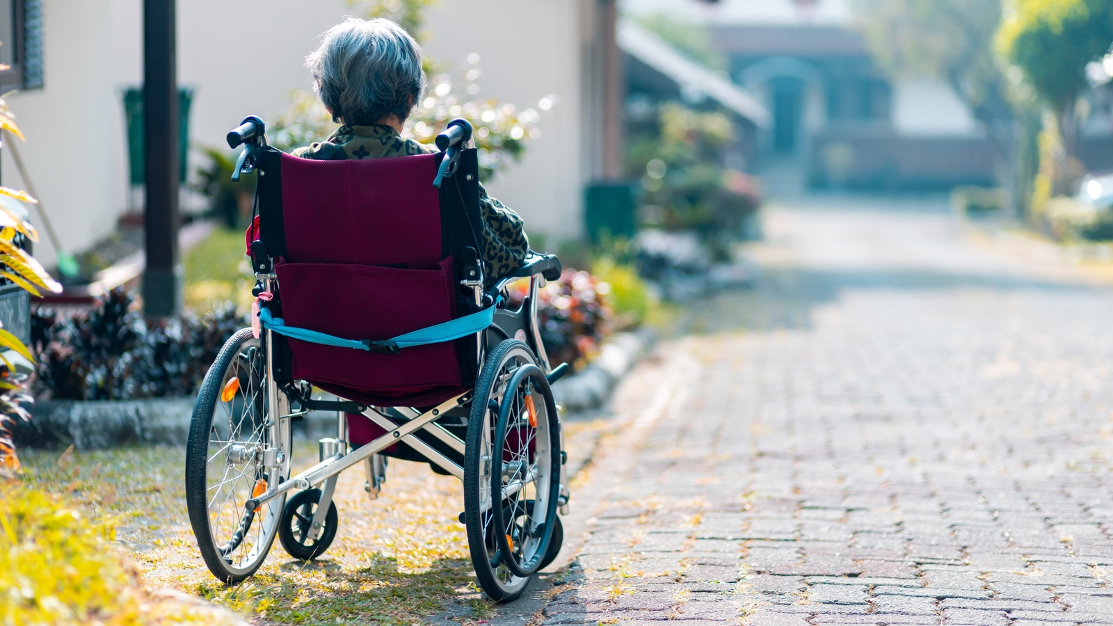 Adults with intellectual disabilities are at risk for dementia: Study - Vimarsana News
