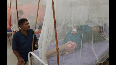 According to the Ghaziabad health department on Tuesday, the tally of dengue positive cases was 594, with one death. (Sakib Ali/HT Photo)