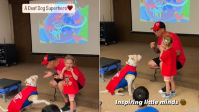 The image shows Cole, a therapy dog, with his pet dad. (Instagram/@colethedeafdog) The image shows Cole, a therapy dog, with his pet dad. (Instagram/@colethedeafdog)