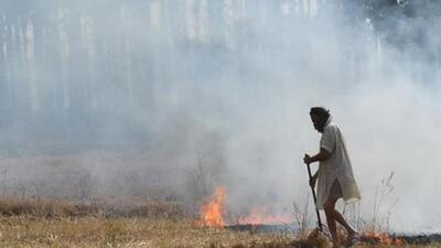 Last year’s data showed between September 15 and November 30, Punjab reported 49,922 fires. (HT File) Last year’s data showed between September 15 and November 30, Punjab reported 49,922 fires. (HT File)