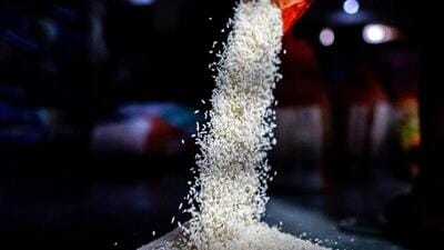 Rice prices in Asia rebounded on escalating concerns around supply as top exporter India implemented more restrictions on its shipments (Bloomberg File) Rice prices in Asia rebounded on escalating concerns around supply as top exporter India implemented more restrictions on its shipments (Bloomberg File)