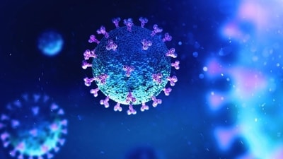 According to Bingham, while scientists have identified 25 virus families encompassing thousands of individual viruses, there are millions of other viruses yet to be discovered, reported the Daily Mail.
(Shutterstock) According to Bingham, while scientists have identified 25 virus families encompassing thousands of individual viruses, there are millions of other viruses yet to be discovered, reported the Daily Mail.
(Shutterstock)