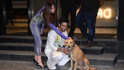 Kriti Kharbanda and Pulkit Samrat shower a dog with love at the Excel office. They attended the Fukrey 3 screening together on Monday. She was last seen in 2021 film 14 Phere. Kriti Kharbanda and Pulkit Samrat shower a dog with love at the Excel office. They attended the Fukrey 3 screening together on Monday. She was last seen in 2021 film 14 Phere. 