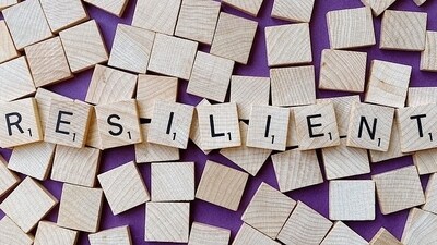 Resilience is the ability of a business to withstand, adapt, and thrive in the face of shocks that are internal and external, as well as known and unanticipated. (Pixabay) Resilience is the ability of a business to withstand, adapt, and thrive in the face of shocks that are internal and external, as well as known and unanticipated. (Pixabay)