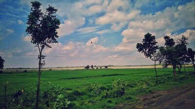 Kiriteshwari village, also known as Kiritkona, located around 20 km from district headquarters Berhampur, is a sleepy hamlet with just a little more than 1,200 voters. (Representative image) (Unsplash/Sajal Das) Kiriteshwari village, also known as Kiritkona, located around 20 km from district headquarters Berhampur, is a sleepy hamlet with just a little more than 1,200 voters. (Representative image) (Unsplash/Sajal Das)