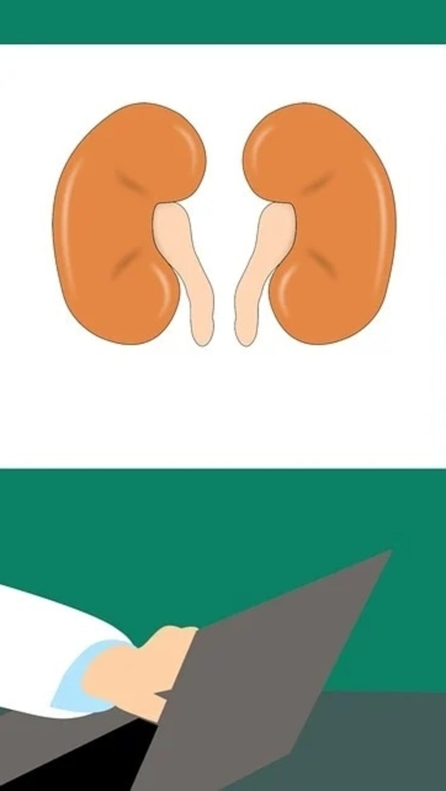 Genetic code of rare kidney cancer: Research (Pixabay)