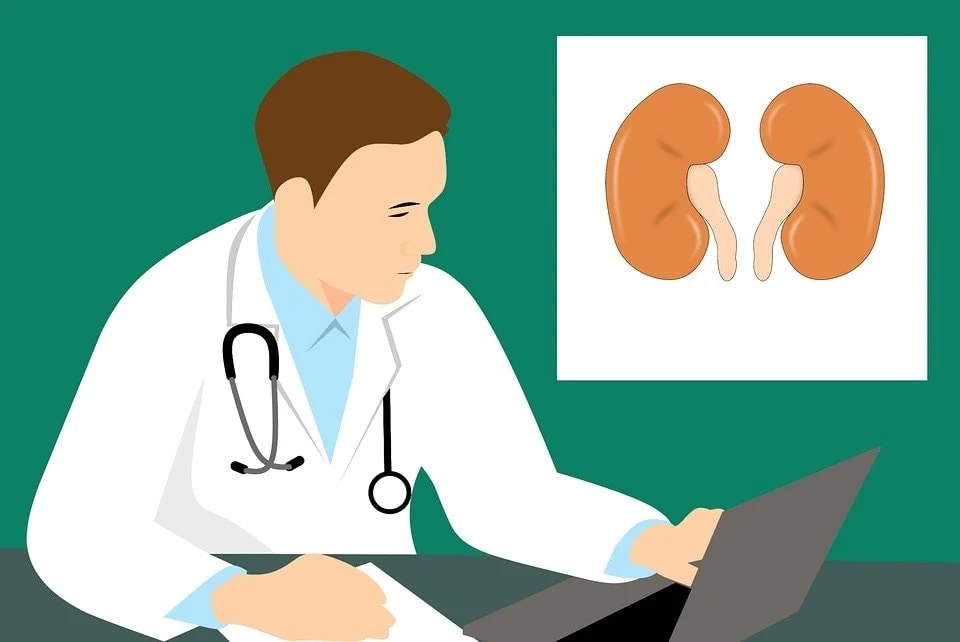 Genetic code of rare kidney cancer: Research (Pixabay) Genetic code of rare kidney cancer: Research (Pixabay)