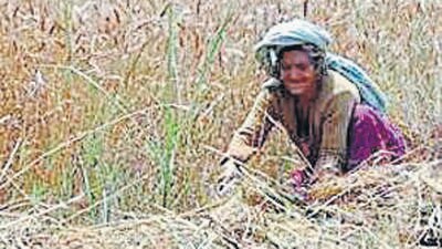 Steps to curb inflation cost farmers ₹45, 000 crore: Study Steps to curb inflation cost farmers ₹45, 000 crore: Study