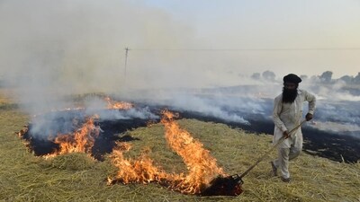 Punjab aims to completely eliminate stubble burning in six districts. (HT_PRINT)