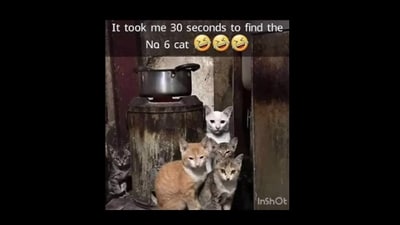 Can you find the hidden cat in this image? (YouTube/@hardgaming3942) Can you find the hidden cat in this image? (YouTube/@hardgaming3942)