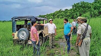 It may be noted that the fees for various services at Dudhwa witnessed a sharp increase last season when the park reopened for the first time after the Covid-19 pandemic. (File)