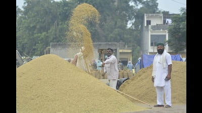 Labourer works to separate husk from the grain at a wholesale grain market in Amritsar on Wednesday. (Sameer Sehgal/HT) Labourer works to separate husk from the grain at a wholesale grain market in Amritsar on Wednesday. (Sameer Sehgal/HT)