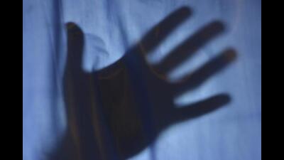 Need to expedite probe in Panipat murder, gangrape case: Women panel chief Need to expedite probe in Panipat murder, gangrape case: Women panel chief