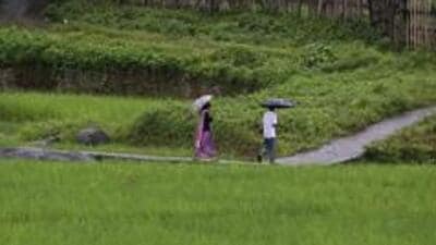 The Assam-Meghalaya border. (AP/Representative)