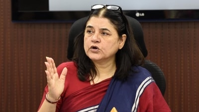 BJP MP Maneka Gandhi (HT Photo)