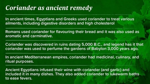 In ancient times, Egyptians and Greeks used coriander to treat various ailments, including digestive disorders and high cholesterol In ancient times, Egyptians and Greeks used coriander to treat various ailments, including digestive disorders and high cholesterol