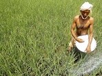 The gap between potential and actual yields with the technologies on the shelf ranges from 200 to 300 per cent in these areas.