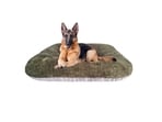 Give your furry friends comforting sleep with best dog beds.