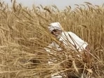 Small and marginal farmer households account for 84 per cent of all farmer households.