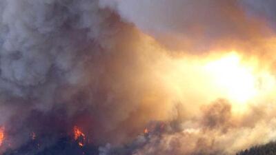 A fire broke out in the shed in the Dachan area of the district on the intervening night of Wednesday and Thursday. (File)