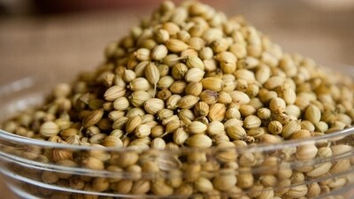 The ethanolic extract of seeds possesses the anti-diabetic property. The result showed a decrease in serum glucose concentration and increase activity of beta-cells (Pixabay) The ethanolic extract of seeds possesses the anti-diabetic property. The result showed a decrease in serum glucose concentration and increase activity of beta-cells (Pixabay)