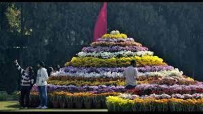 Chandigarh will host the annual Chrysanthemum Show at Terraced Garden, Sector 33, in December. (HT FILE PHOTO) Chandigarh will host the annual Chrysanthemum Show at Terraced Garden, Sector 33, in December. (HT FILE PHOTO)