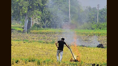 Farmers burn paddy stubble in a field in Amritsar on Friday. (Sameer Sehgal/HT) Farmers burn paddy stubble in a field in Amritsar on Friday. (Sameer Sehgal/HT)
