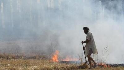 Haryana government has allocated  ₹28.23 crore for crop waste management over 3 lakh acres under paddy in Kurukshetra to tackle stubble burning. (HT File)