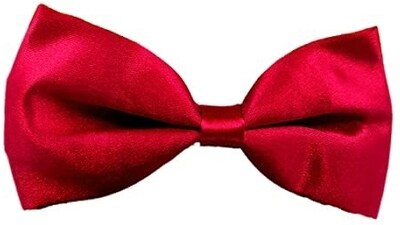 Master the art of dog bow selection with this guide. Master the art of dog bow selection with this guide.